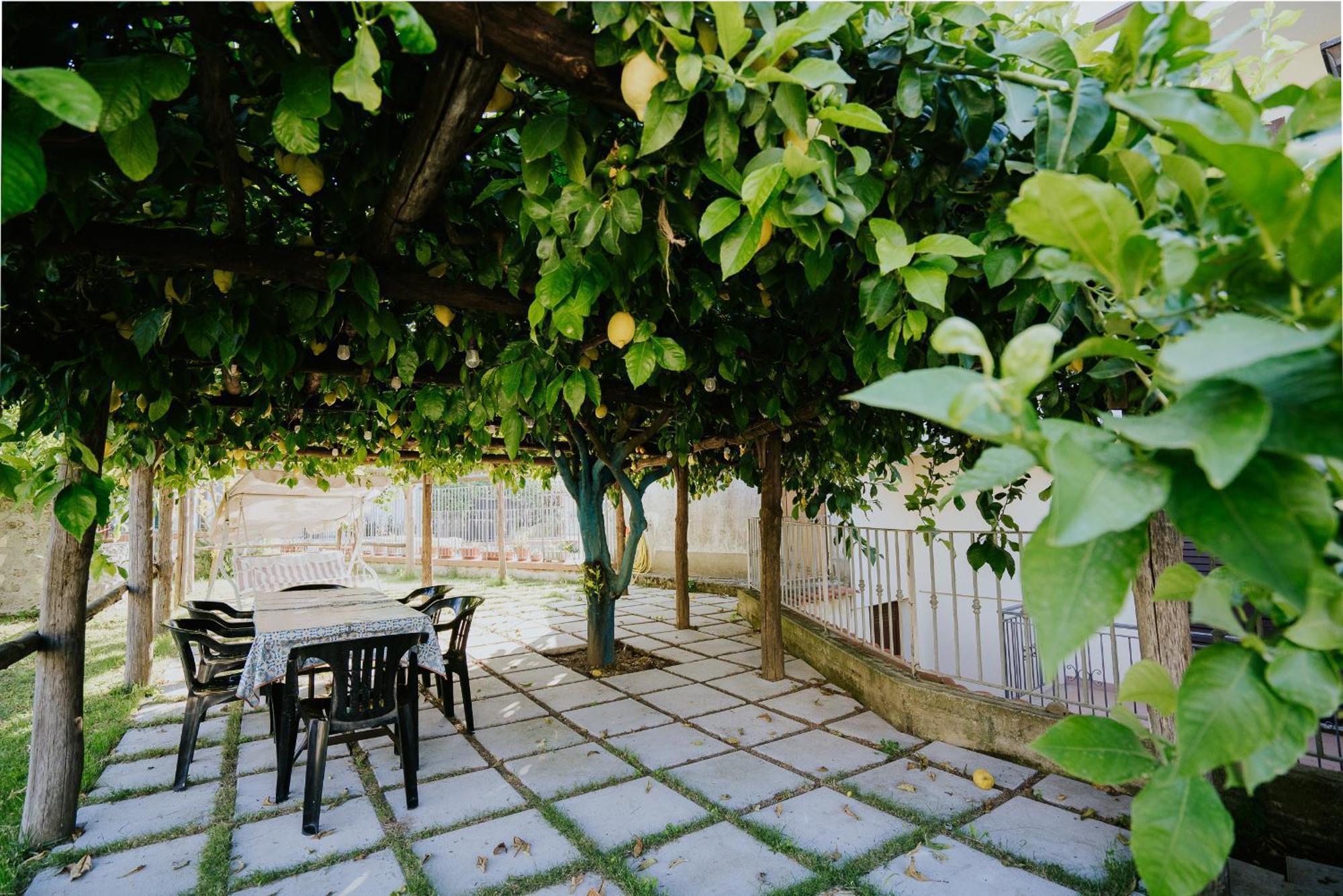Il Giardino Dei Limoni Apartamento Polvica Exterior foto